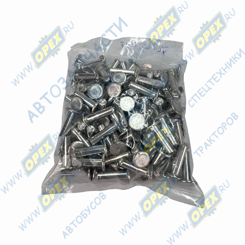 70100107 Заклепка ф6x22 (алюм.); ,к-т 100 шт. AVL Krafttechnik